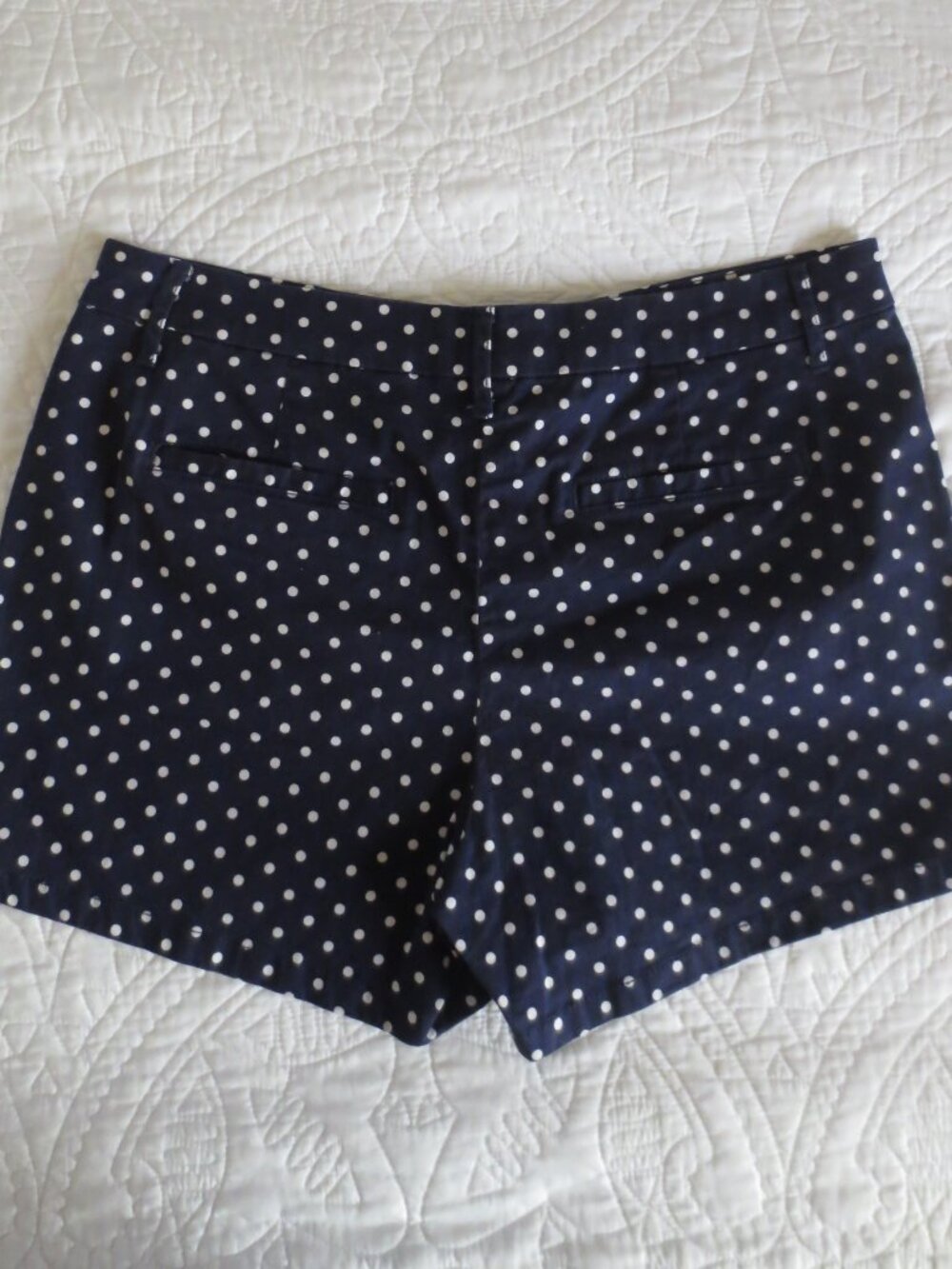 Retro Navy Blue & White Polka Dot Cotton Shorts - Picture 2 of 12